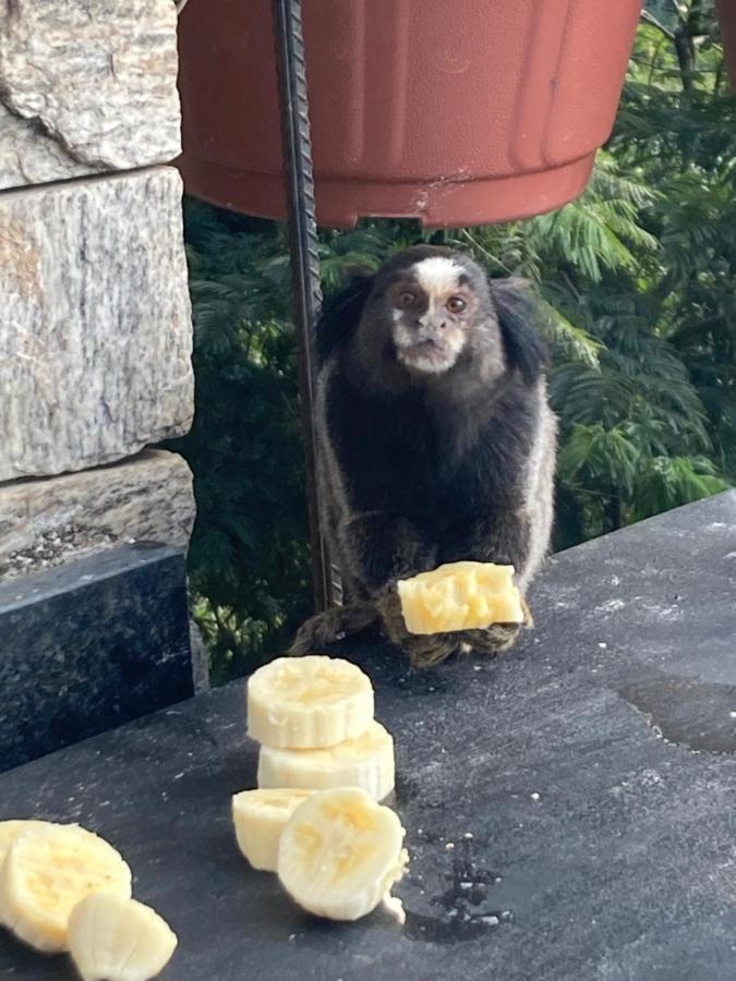 O Chale Mais Bucolico De Araras. Vista Linda Bagian luar foto